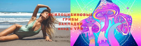 скорость Ладушкин