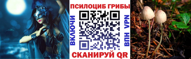 Галлюциногенные грибы ЛСД  Прокопьевск 